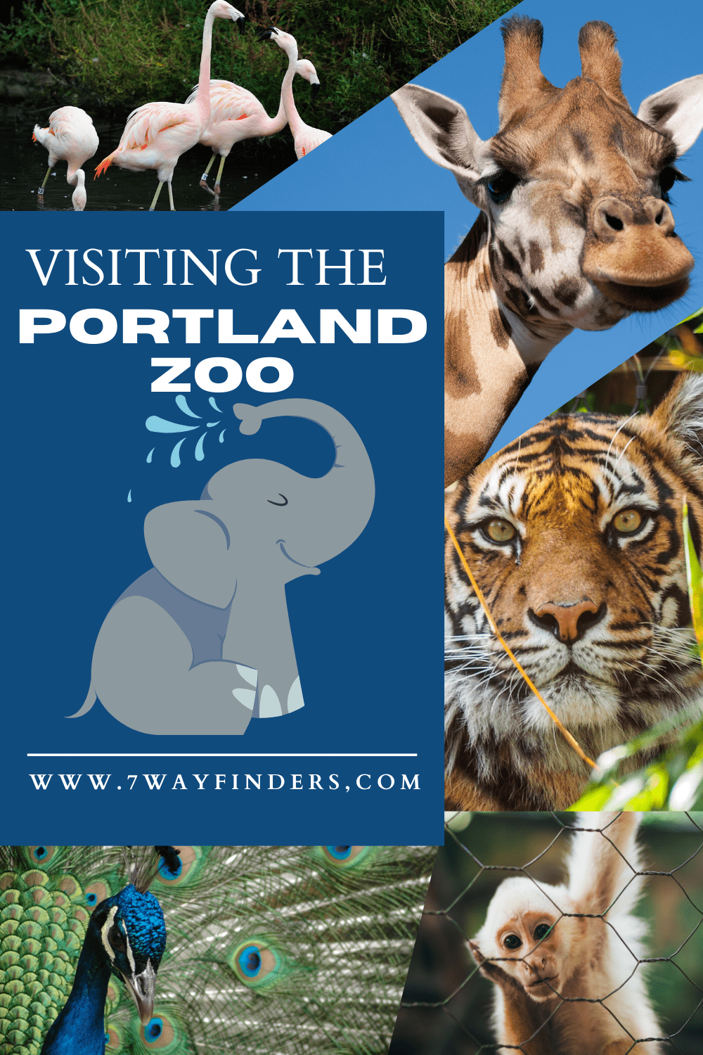 Family Travel Visiting the Portland Zoo - 7 Wayfinders