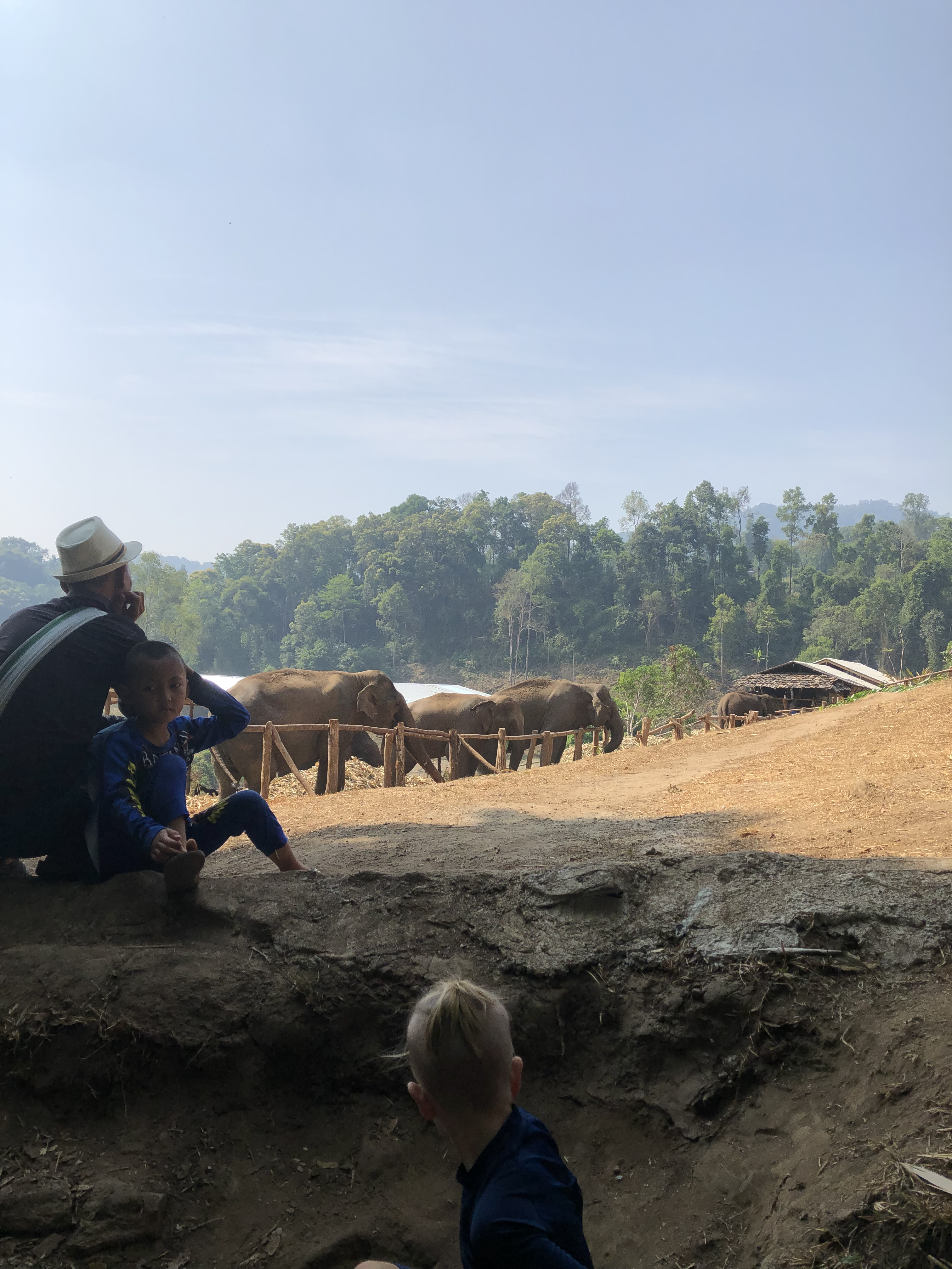 Sitting with the kids, watching gentle giants roam free in the Thai countryside.