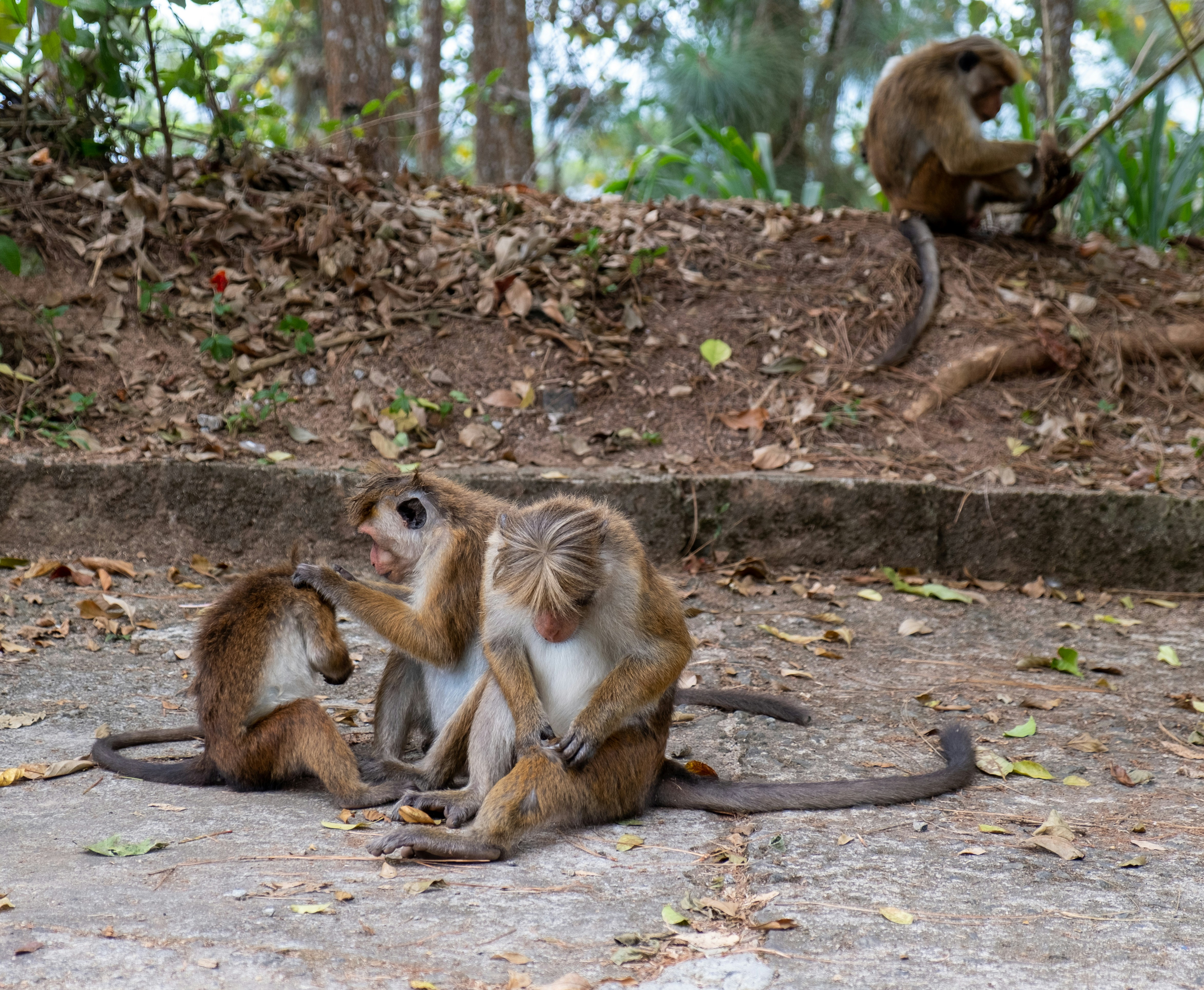  Wildlife and people share the flow of life.  Source: Unsplash.