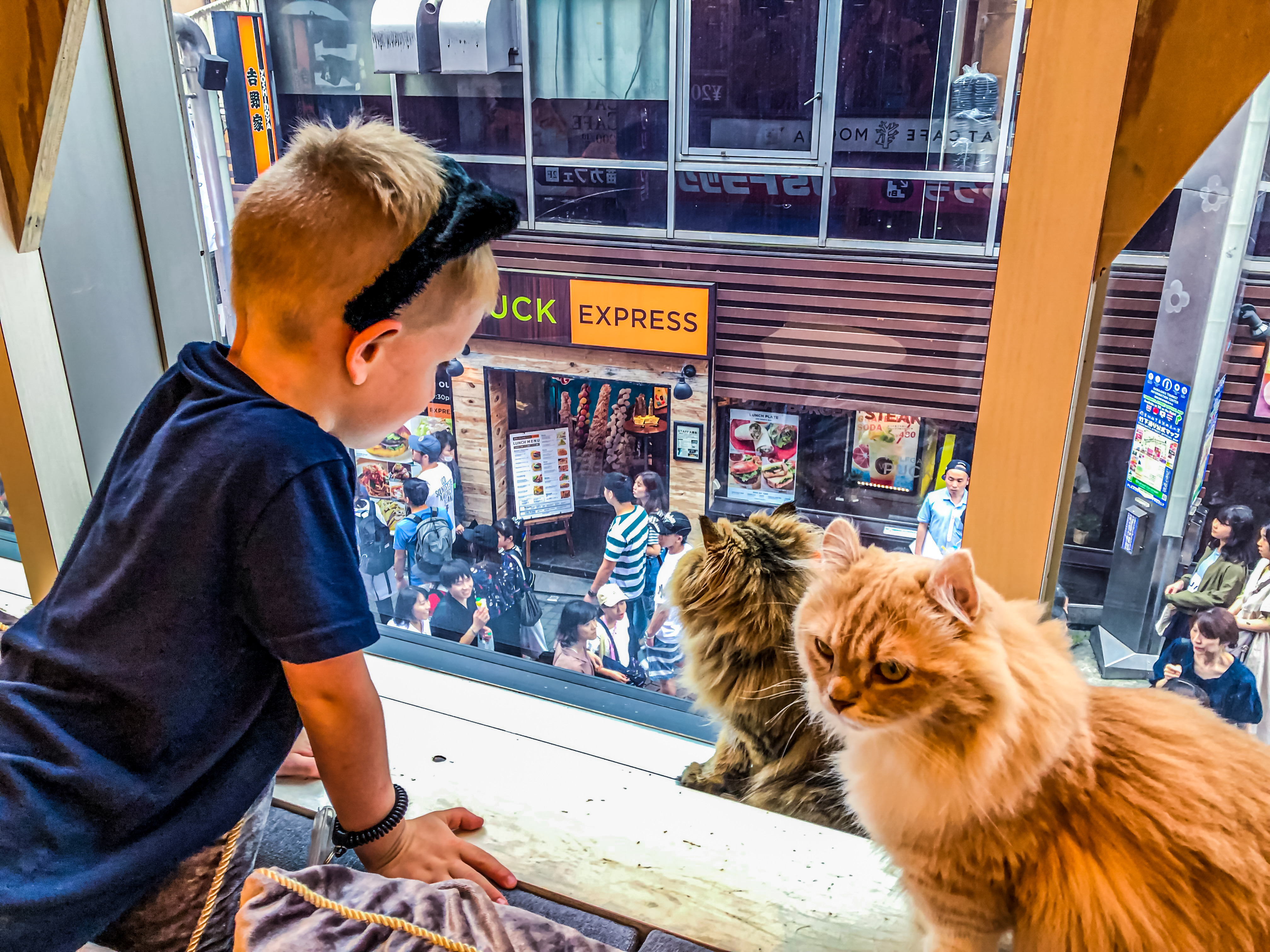 Our kids already knew how to interact with cats, so it was pretty easy for them to follow the rules of pet cafes in Tokyo.