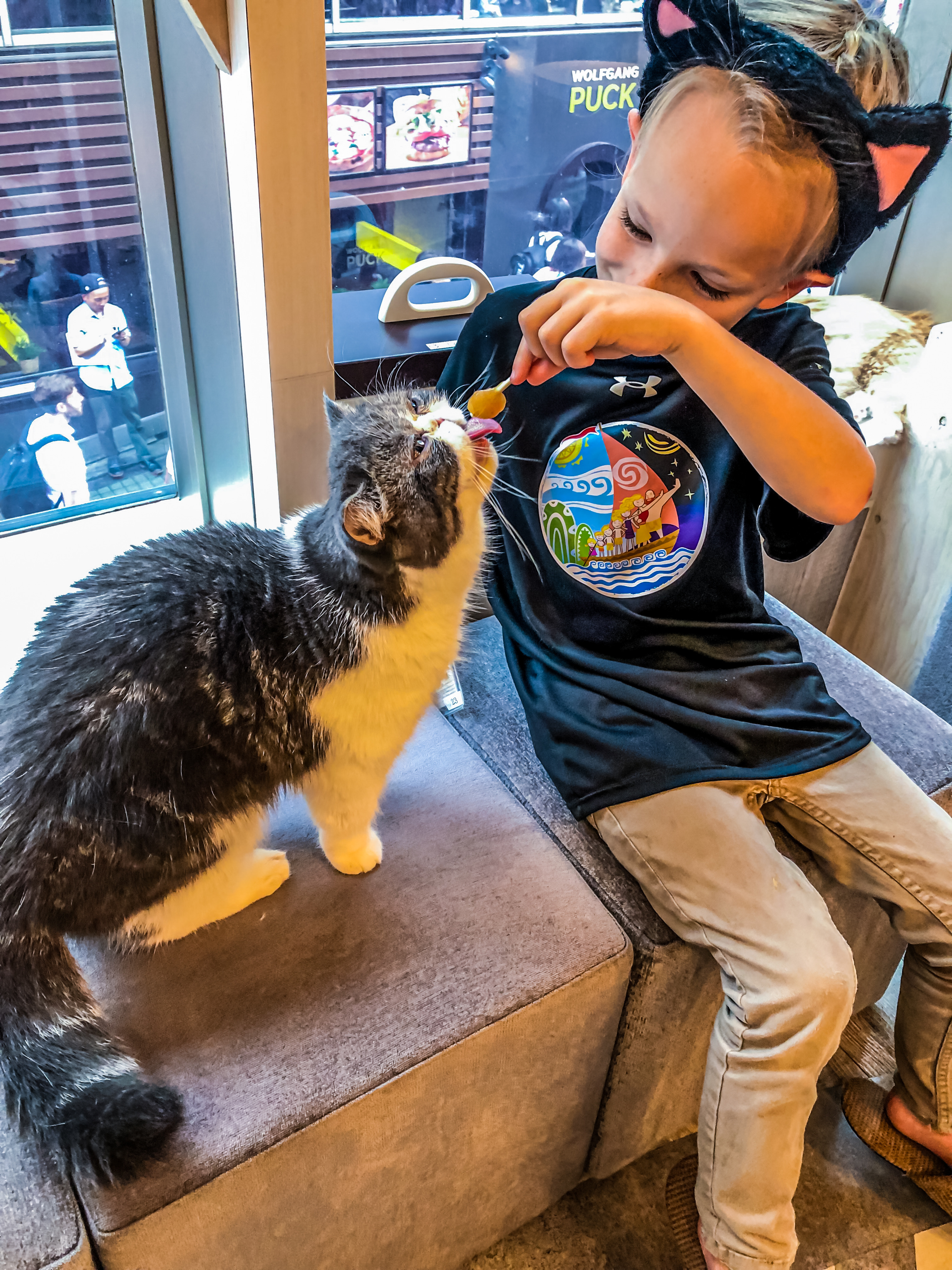 Depending on the café rules, you can also feed them with treats they have in animal cafés in Tokyo!