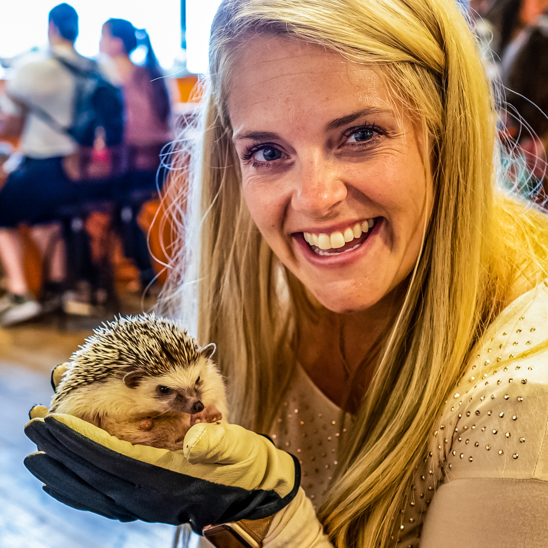 The hedgehogs in this café in Tokyo were so tiny and sleepy!