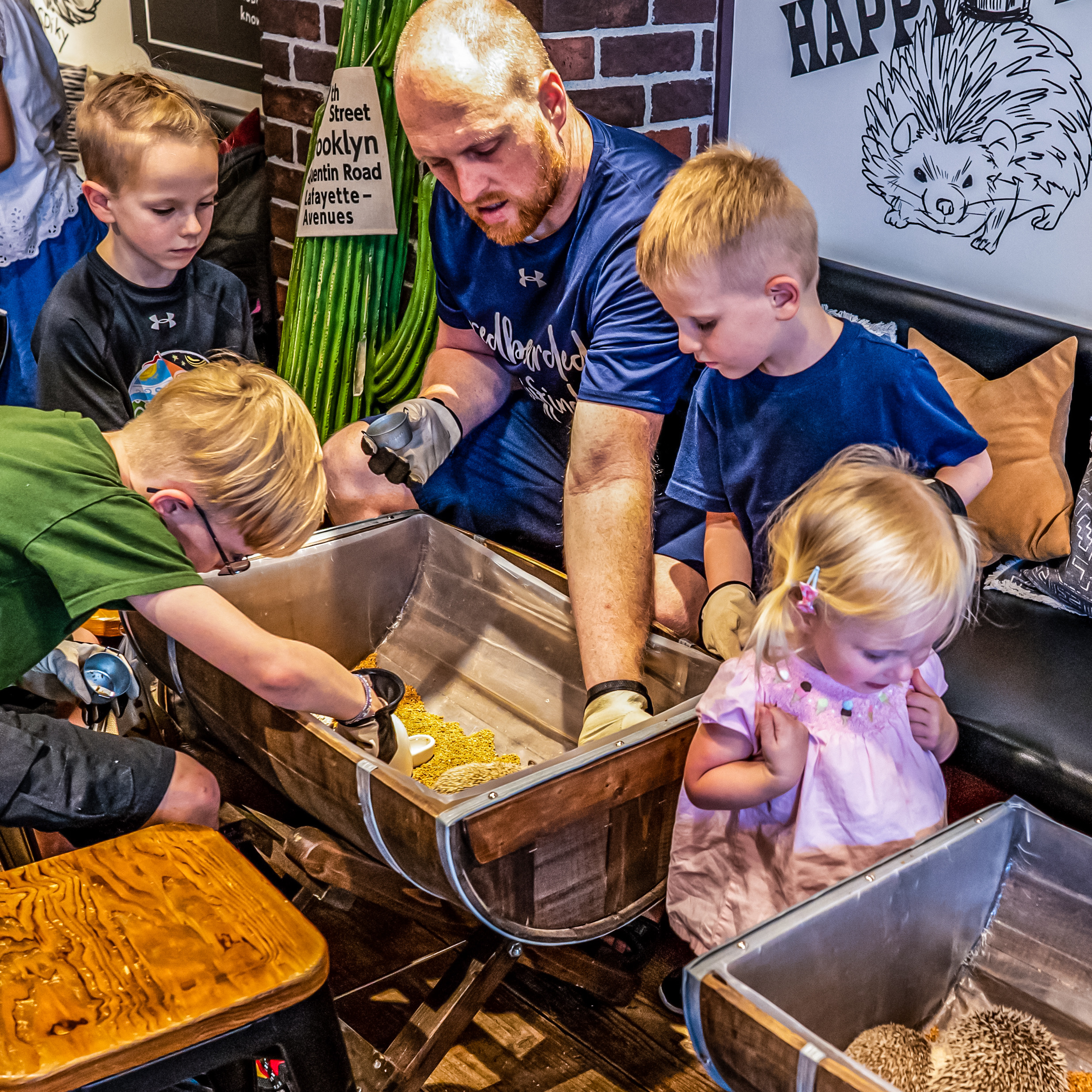Our crew was very patient and respectful when handling the hedgehogs.