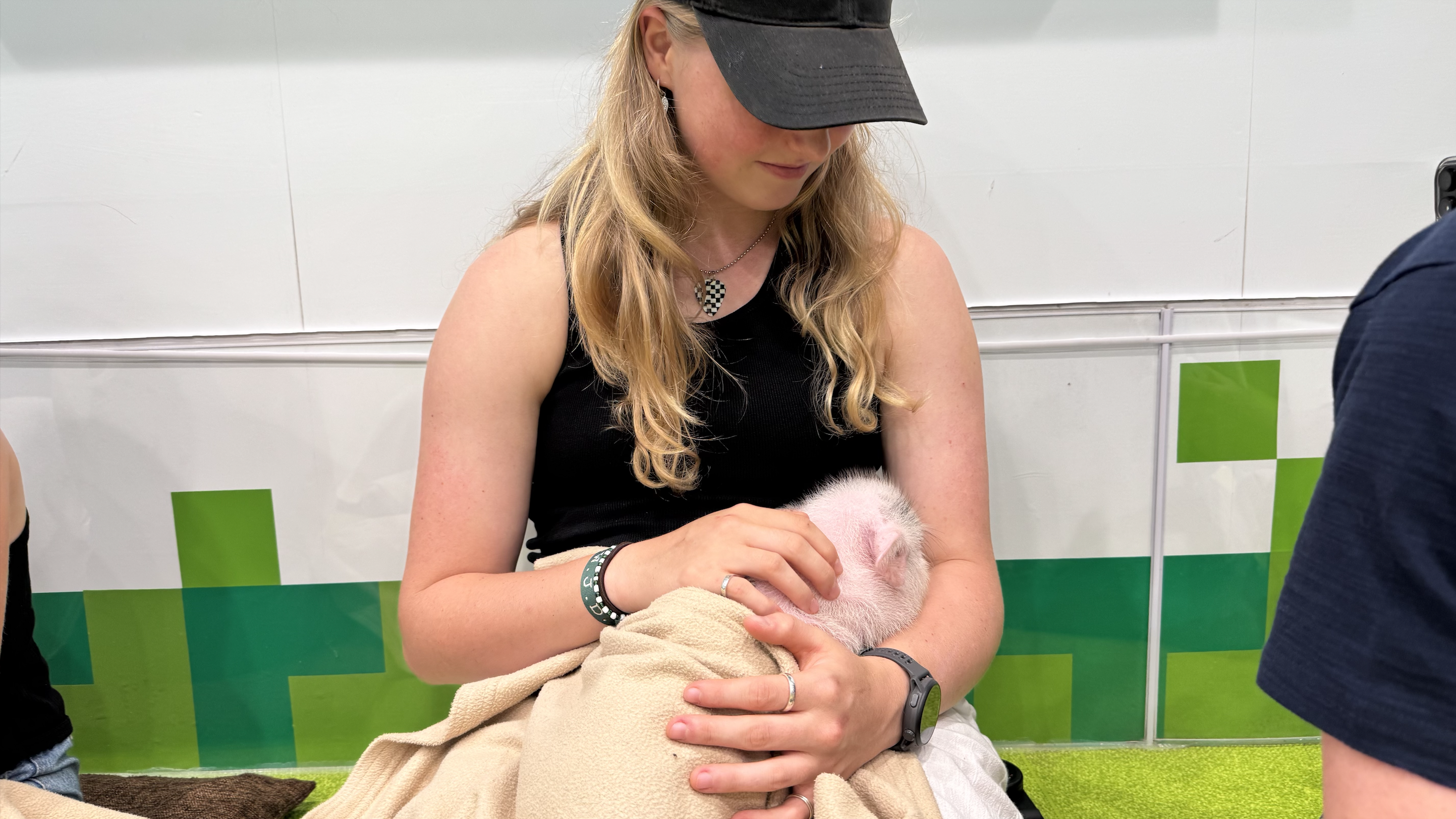 Having the pigs curled up in our laps was something we definitely did not expect!