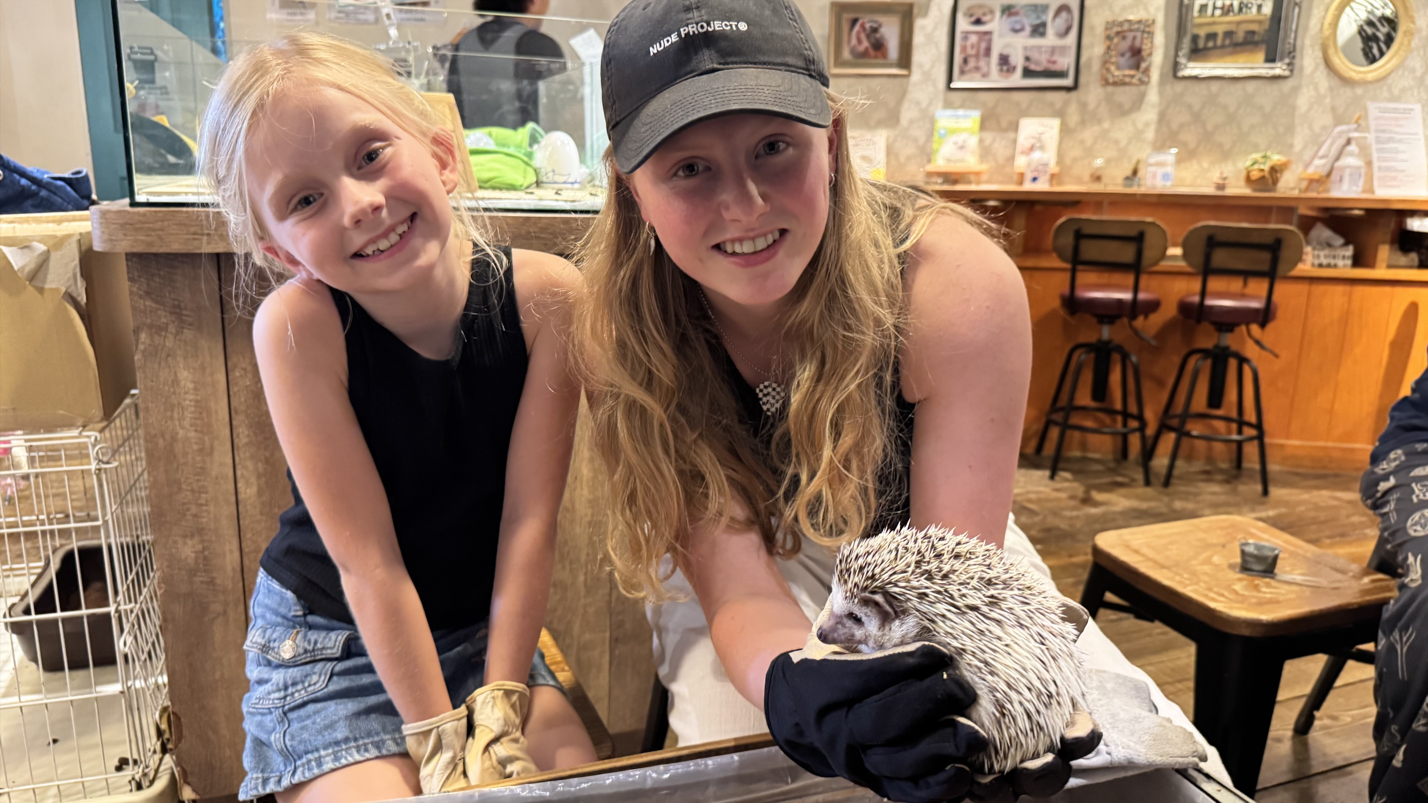 We truly had a good time hanging out at the Hedgehog Café in Tokyo!