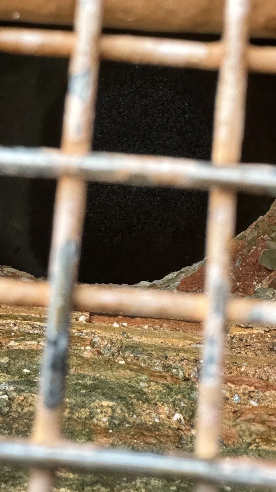 Dark stone shaft viewed through a metal grille.